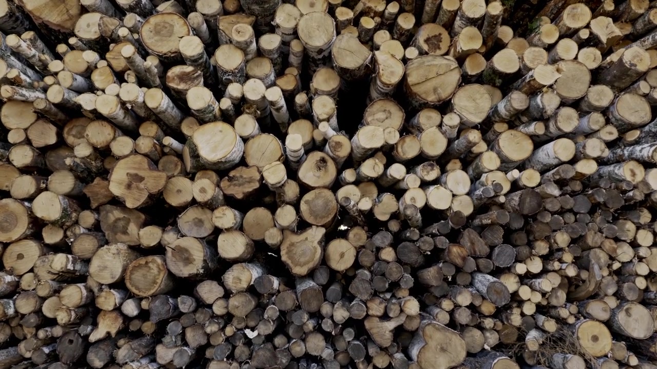 Close approach reveals dense timber ends stacked for handling at a Baltic port