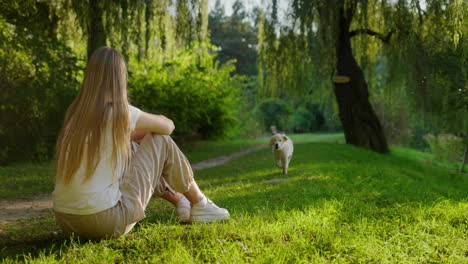 Glücklicher-Golden-Retriever-Welpe-Rennt-Zu-Seinem-Besitzer.