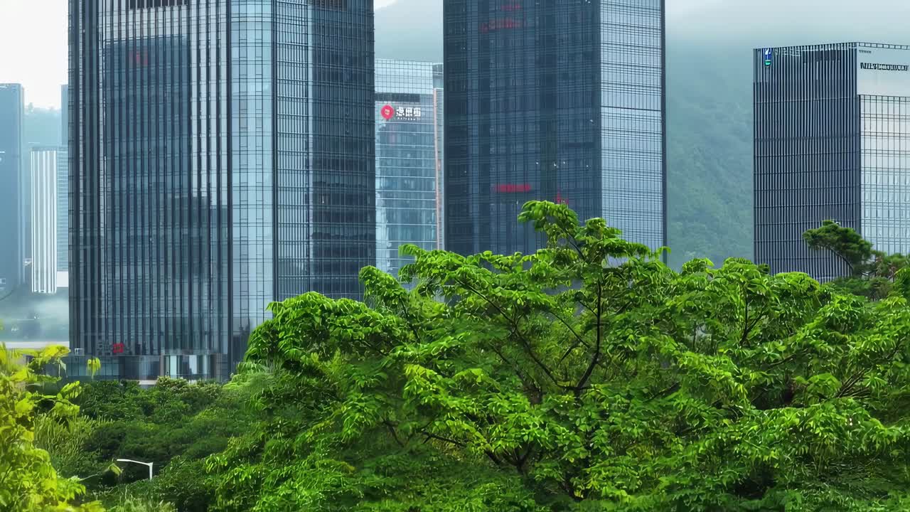Green trees sway gently in the foreground, providing a stark contrast to the towering skyscrapers in the background, creating a harmonious blend of nature and urban development
