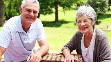 Feliz-Pareja-De-Ancianos-Relajándose-En-El-Parque-Haciendo-Un-Picnic