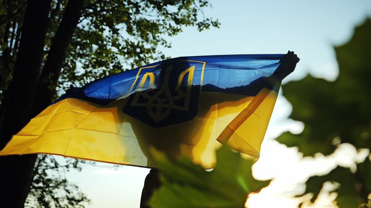 Low angle, woman holding Ukrainian flag in forest, strength global support shot