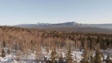 snowy mountain forest landscape