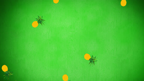 animation of pineapples moving on green background