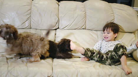 Cheerful-Asian-toddler-playing-with-two-puppies-in-the-living-room