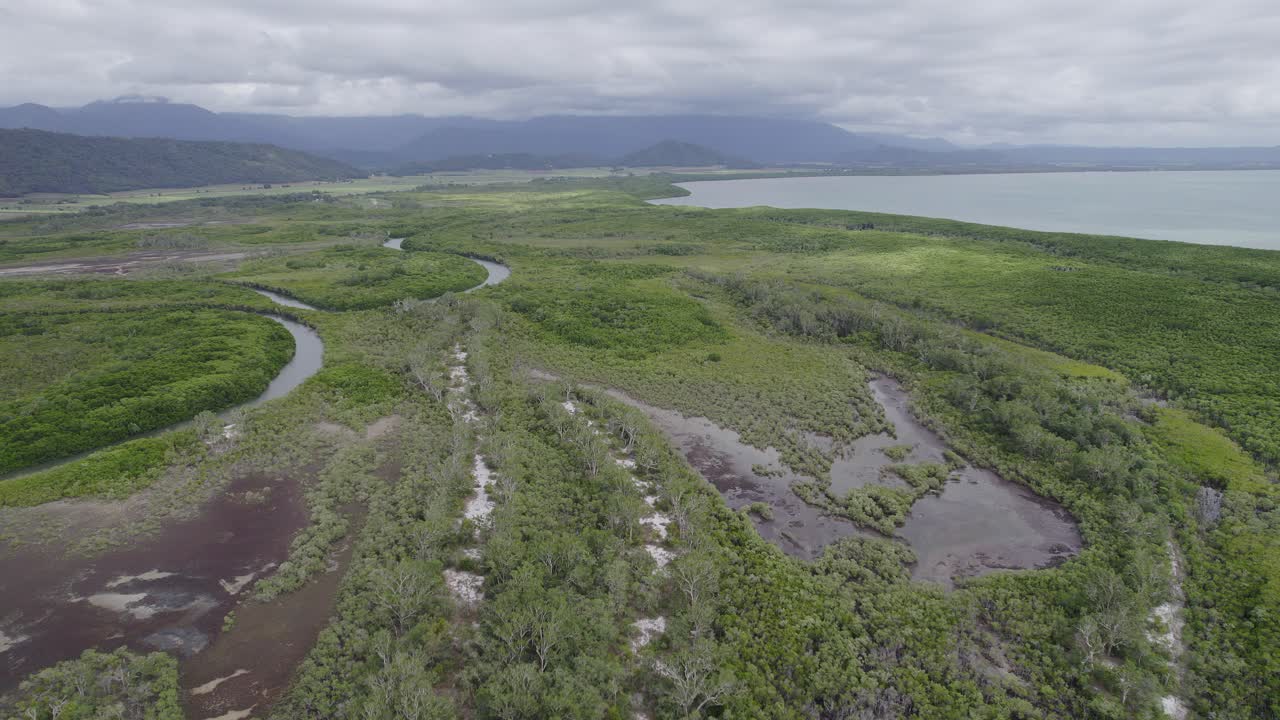 antena sobre humedales y bosques de manglares en la costa del mar de coral en port douglas, norte de queensland