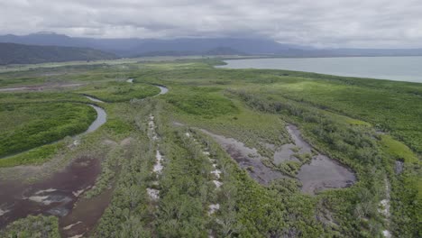 aerial over wetlands and mangrove forest on the shoreline of coral sea in port douglas, north queensland