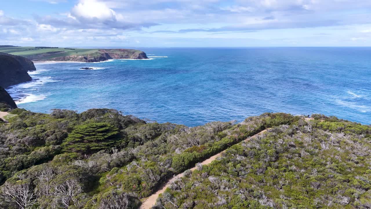 Drone camera smoothly pans from bushland to dramatic ocean cliffs under bright daylight