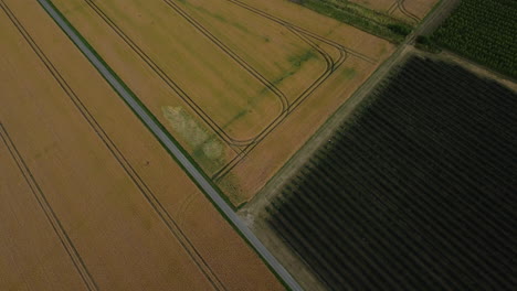 aerial view of farmland and vineyard