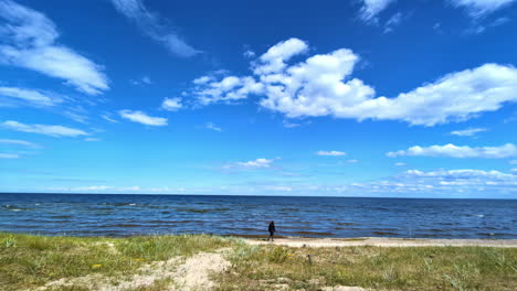 a view of a lone person at the beachfront during summer in tallinn, estonia. wide shot