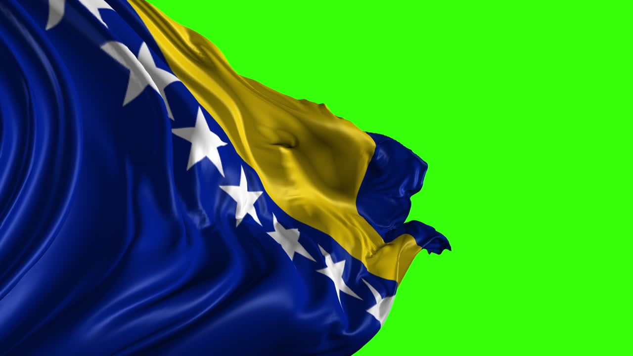 보스니아 헤르체고비나의 발