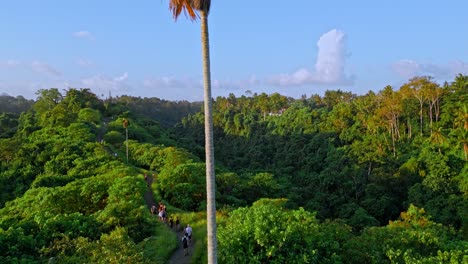 bali's campuhan ridge walk at sunset in summer