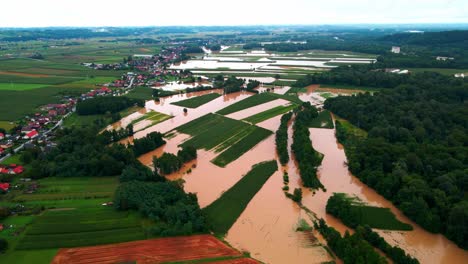 horrific aerial 4k drone footage of houses in podravje, slovenia, during august floods