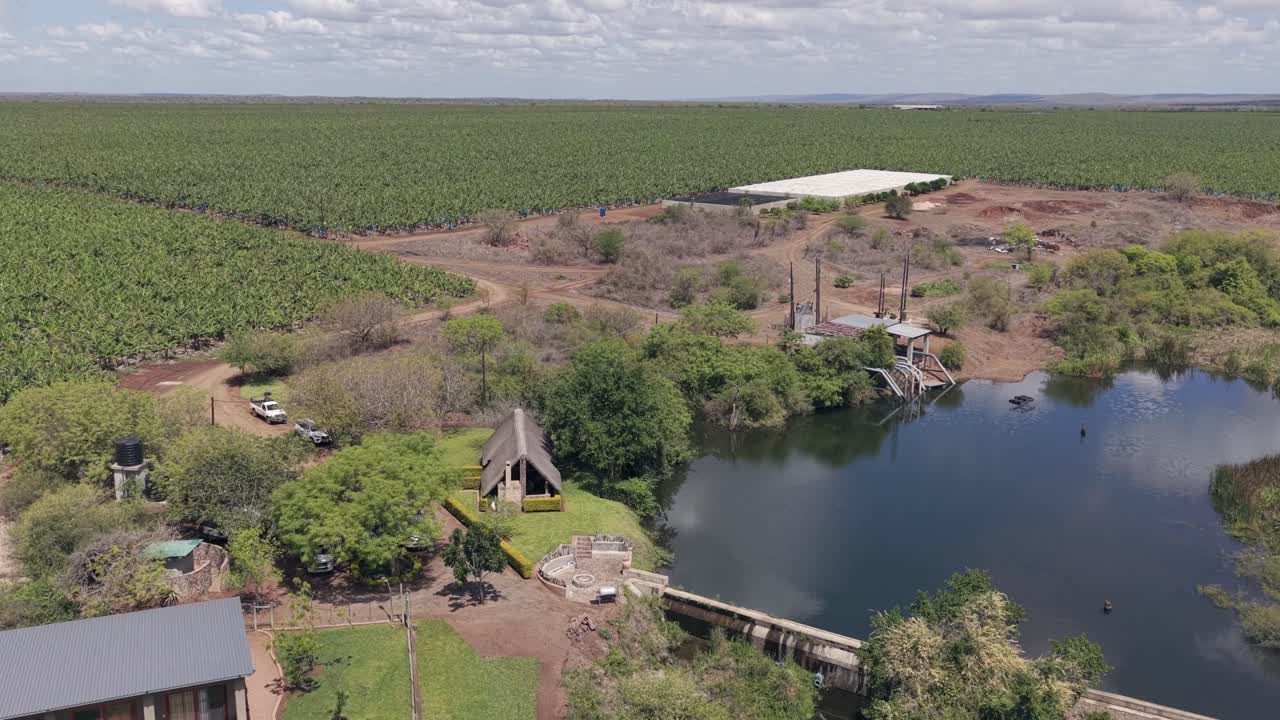 Vista aerea di una piantagione di banane, un lago e infrastrutture agricole