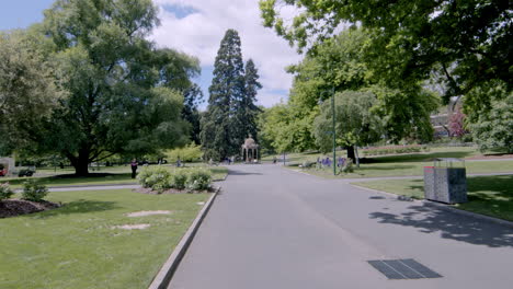 road in the middle of the city park with shady trees