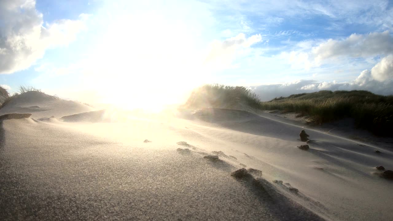 dunas de arena con hierba de dunas en la tormenta del mar del norte, dunas de senderismo, protección de diques, sondervig, jutlandia, dinamarca, 4k