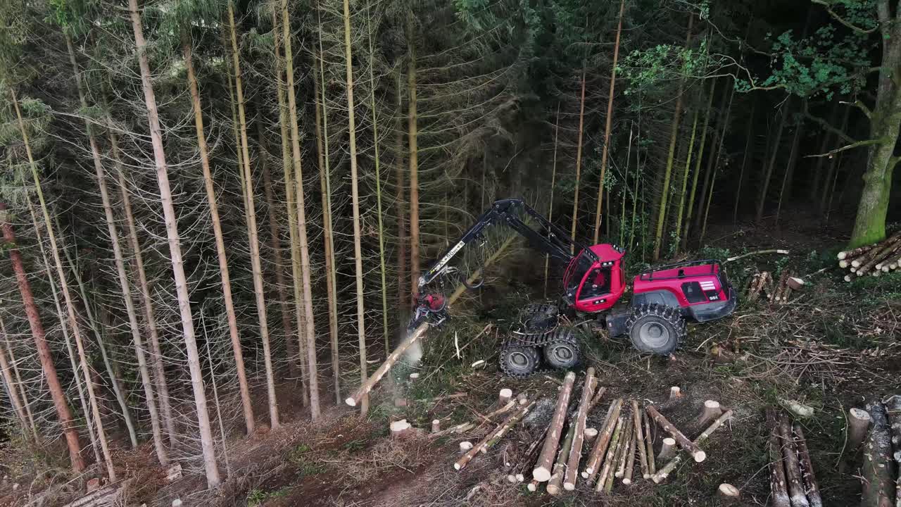 숲에서 활동 중인 로깅 장비