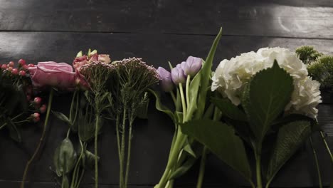 medium close up footage of a colorful variety of flowers in bloom exposed in a row on a dark wooden surface