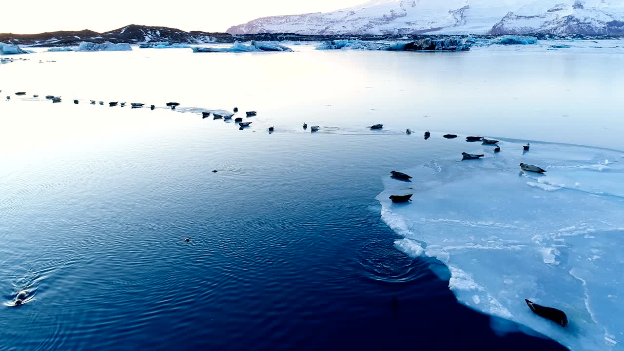 아이슬란드의 하 얼음 위에 있는 해파리의 파노라마 뷰, 은 해가 지는 아래, 우리는 빙하와 지평선에서 하늘을 볼 수 있습니다.