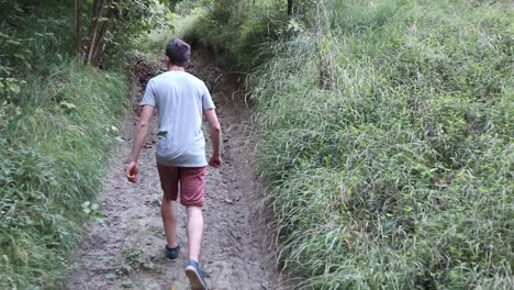 a man walks on a footpath in forest, daytime, summer season