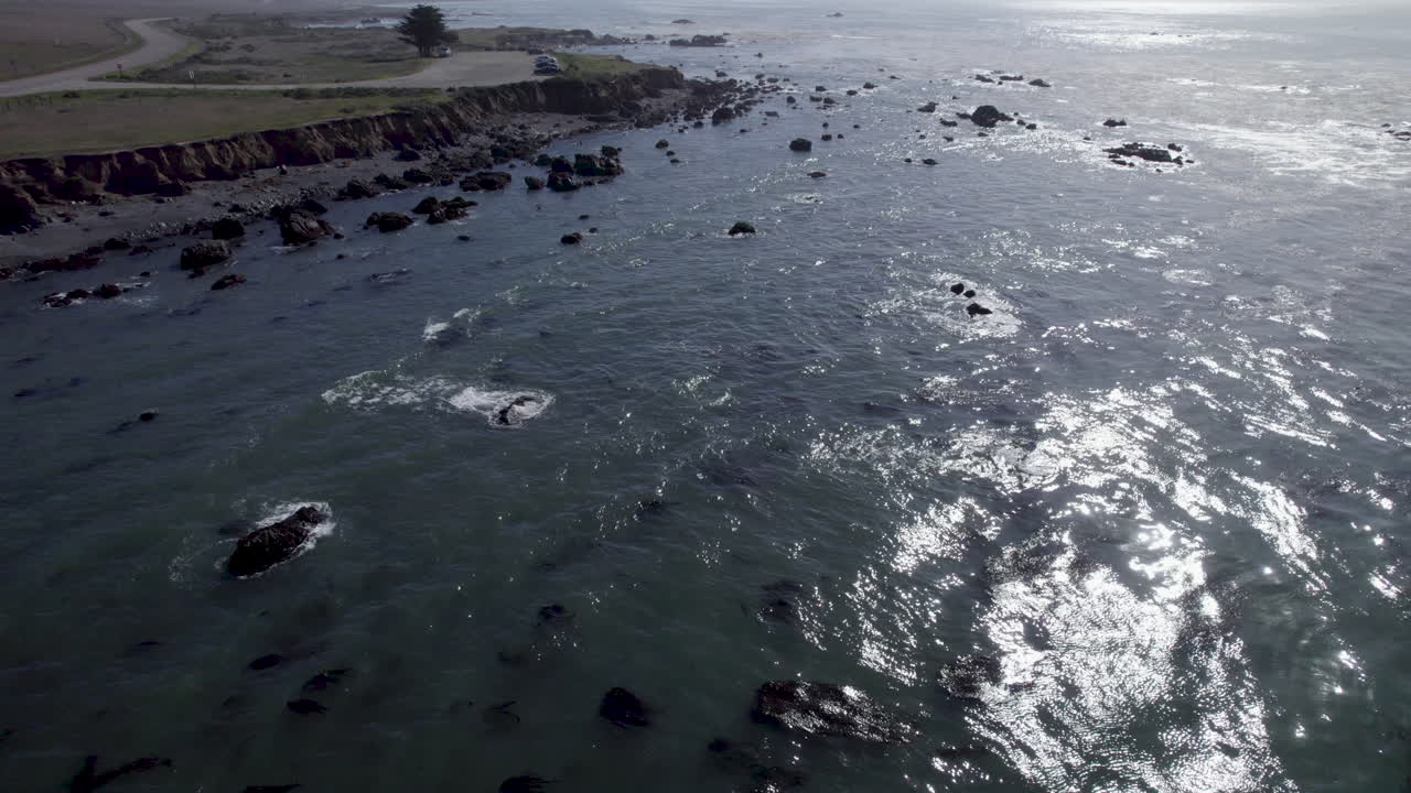 Vista Point On Highway 1 With Elephant Seals Of San Simeon In San Luis Obispo County, California, United States. Aerial Drone Shot