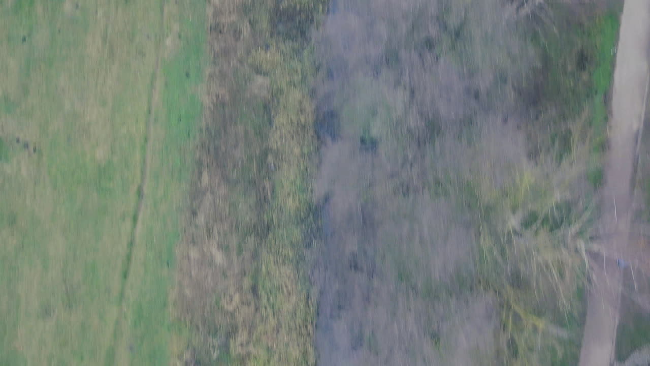 Aerial View of a Peaceful River Path