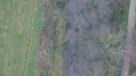 aerial view of a peaceful river path