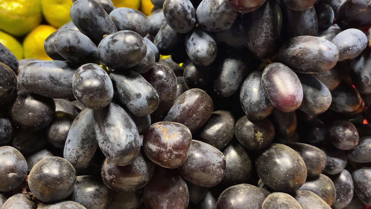 Primo piano estremo di uva nera matura su una bancarella del mercato. Filmato autentico per contenuti su sostenibilità, benessere e stile di vita sano