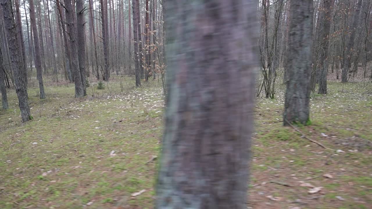 быстрая пайка припоем при проведении боевых учений в лесу