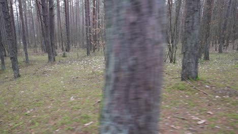 soldadura de pasta rápida haciendo ejercicios de combate en el bosque