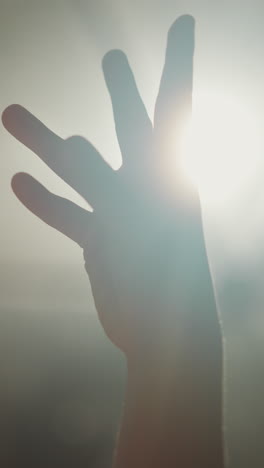 child hand gathers finger in bunch at backlight. little kid palm silhouette shows gesture against glowing brightly lamp in dark room. playing child arm