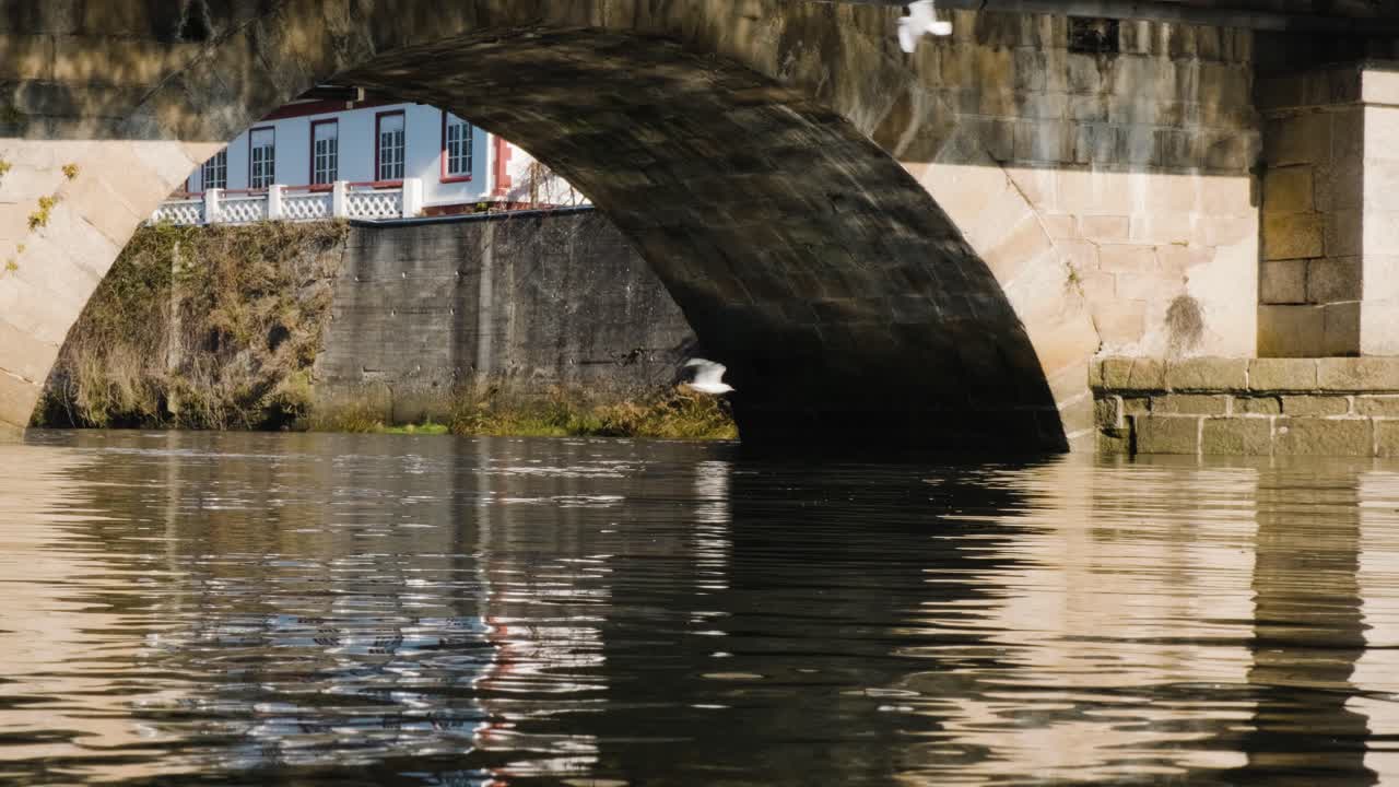 Seagulls flying in historic water canal in a coastal city during a sunny day