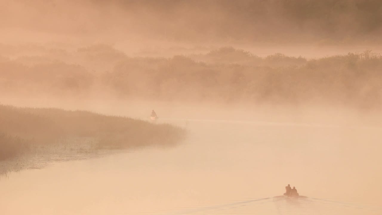 평온한 호수, 강, 그리고 은 나무 시 배에서 시하는 사람 여름 아침에 아름다운 안개가있는 일출. 시은 배에 있습니다. 러시아 자연.