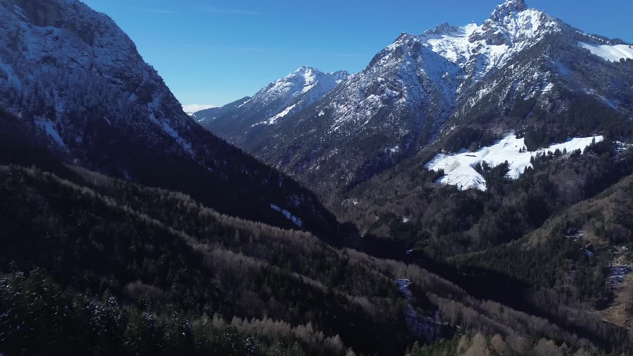 Vista aerea di una pineta con montagne innevate sullo sfondo in una splendida giornata di sole con cielo azzurro limpido.