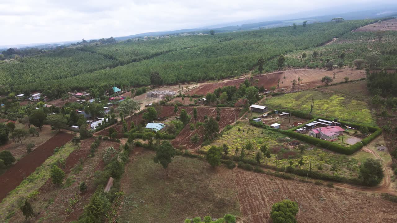 vista de arriba hacia abajo del bosque, toma aérea del bosque