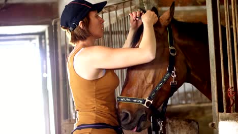 una muchacha cuidando a un caballo y haciendo trenzas de melena. en un establo la muchacha se ocupa del caballo marrón