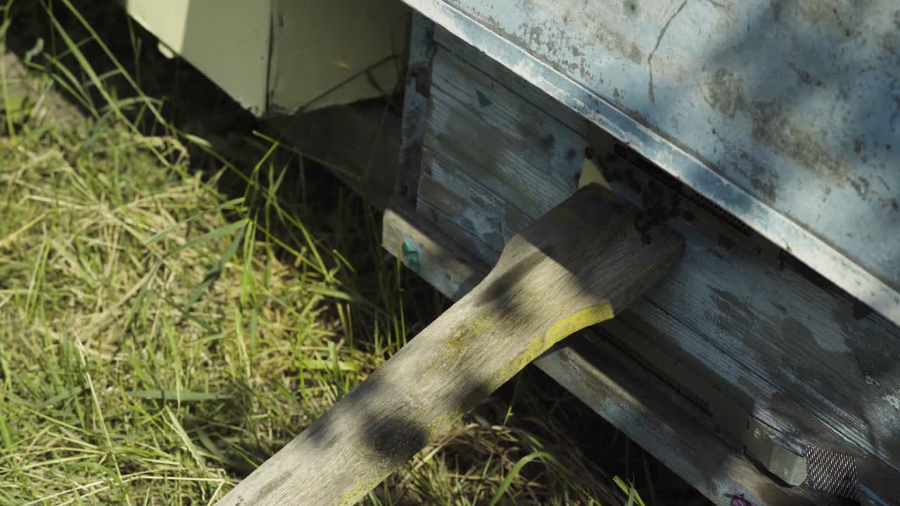 Beehives at the apiary