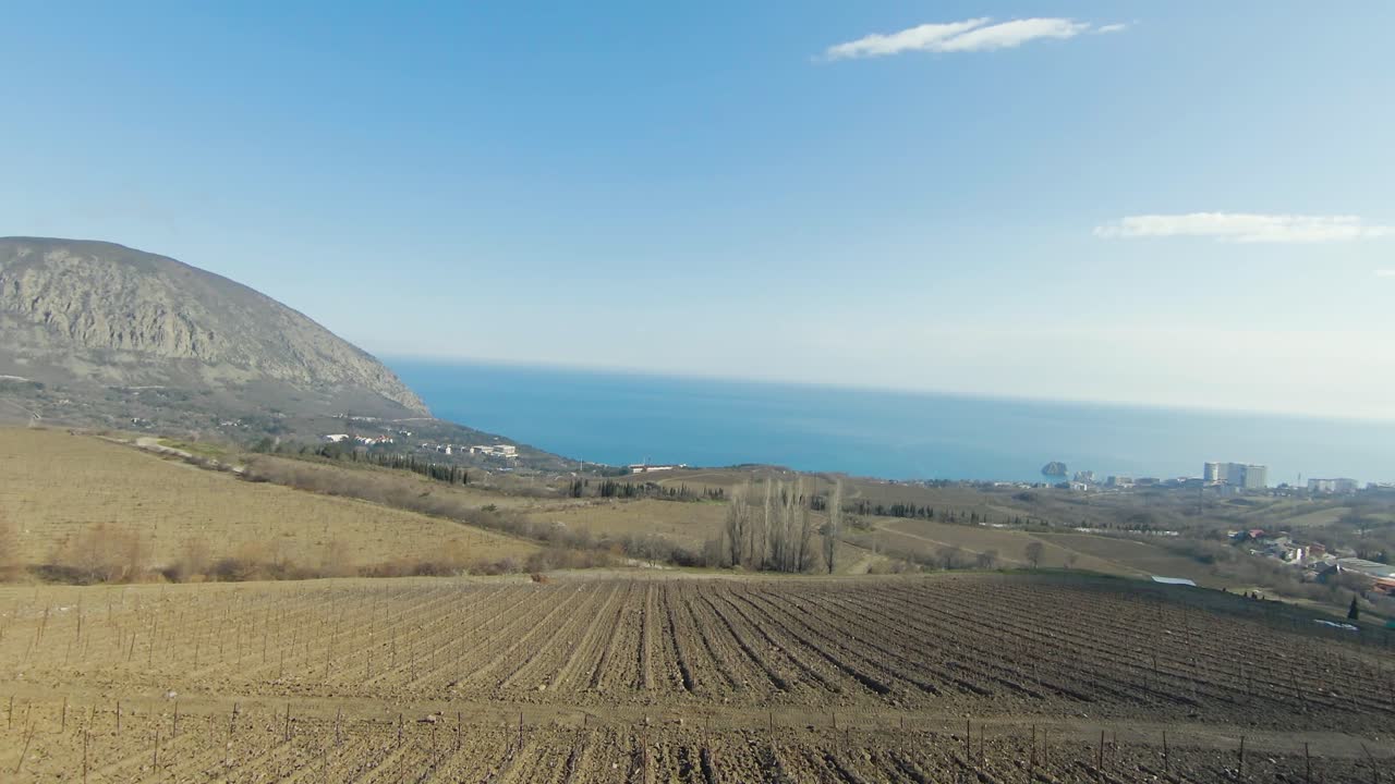 산과 바다를 볼 수 있는 포도원 풍경