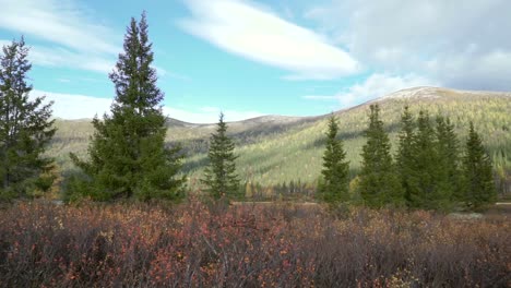 autumn scenery in the mountains