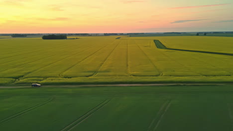 fotografía aérea lateral de campos agrícolas rurales con flores amarillas al atardecer