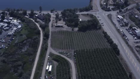 aerial-panout-drop-over-RV-lakeside-resort-acorss-vineyards-wine-processing-plants,-alcohol-reatil-stores-on-a-hazy-hot-summer-day-birds-view-of-transparent-waterfront-cottages-1-4