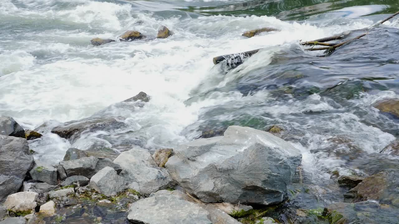바위 가 있는 빠른 흐름 의 강