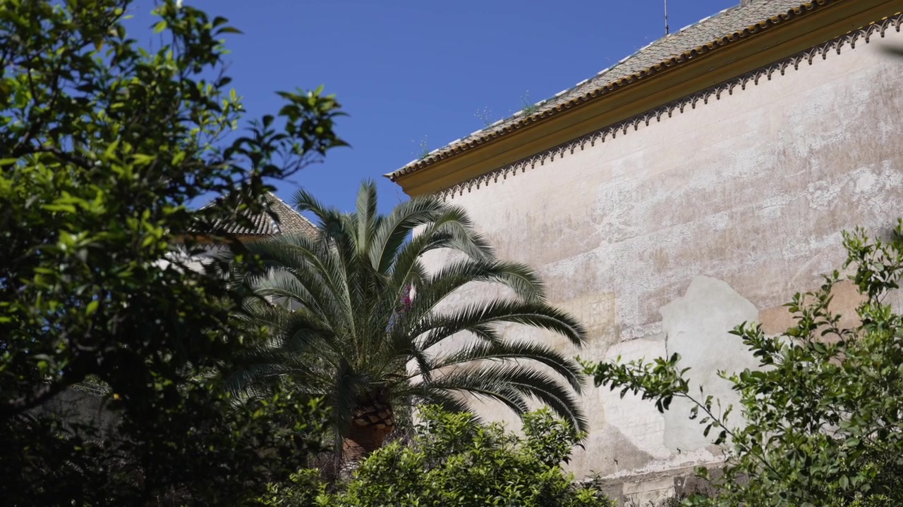 Architettura tradizionale di Siviglia con palma e giardino