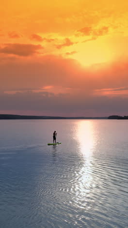 stand up paddle board man silhouette