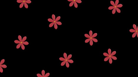 animation of rows of chinese red flowers with copy space on black background