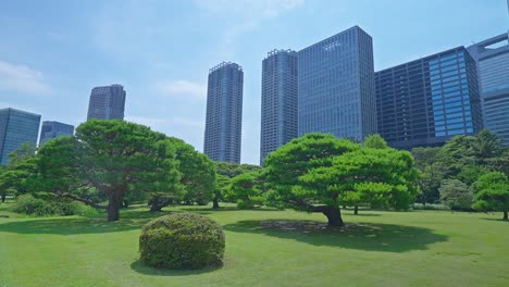 Schöner-Japanischer-Traditioneller-Garten-Mit-Wolkenkratzern-In-Tokio