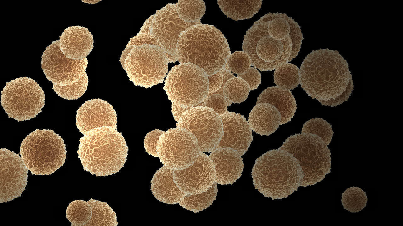 3D textured DNA bacteria cells multiply and flow gently on black screen