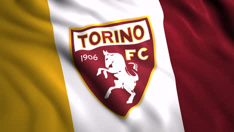 torino fc flag