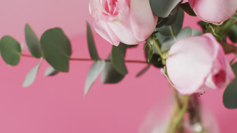 Video-of-pink-roses-in-glass-vase-with-copy-space-on-pink-background