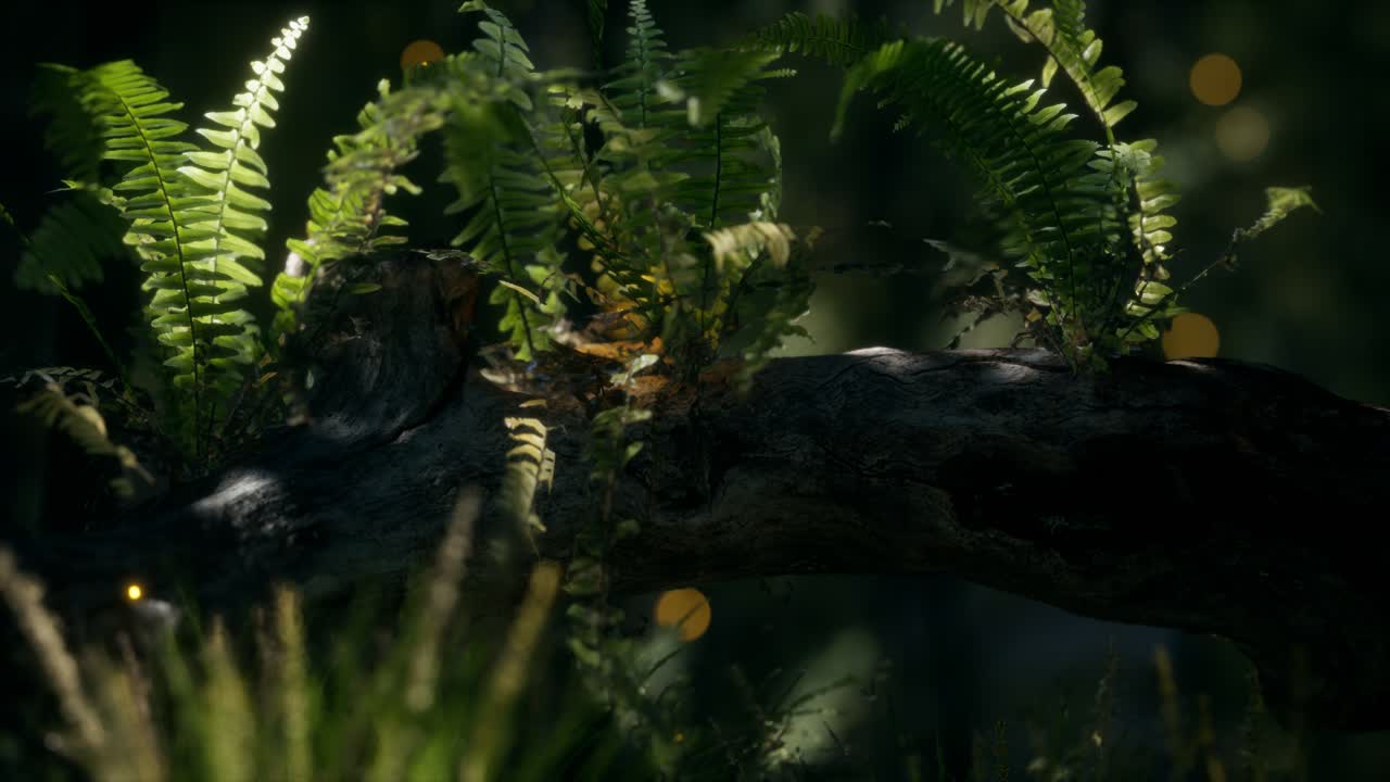 tronco del árbol doblado horizontalmente con helechos creciendo, y la luz del sol brillando