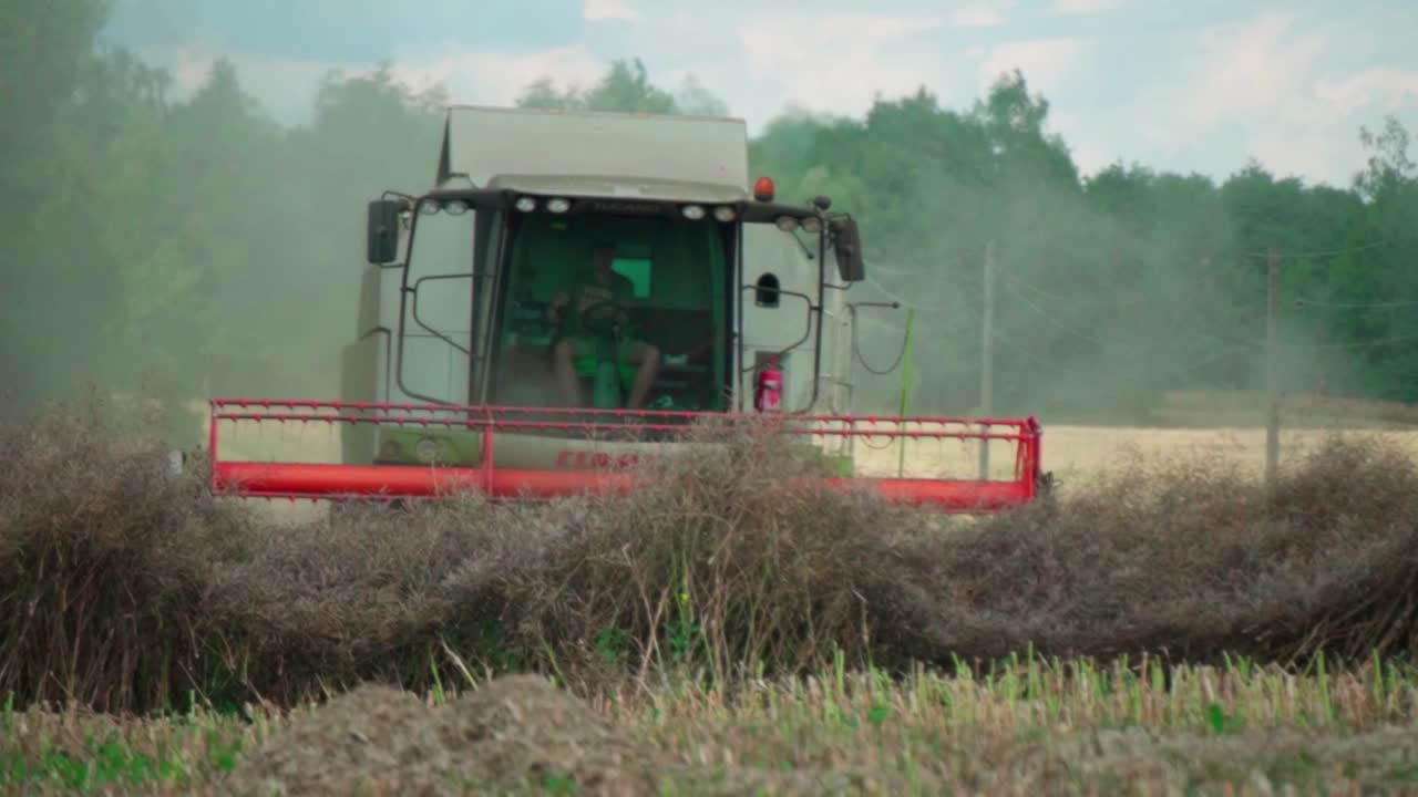 밭에서 일하는 콤바인 수확기_combine_farmland_work_outdoors_summer